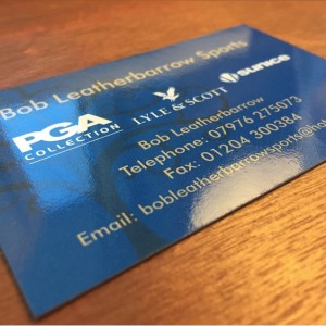 Standard Business Cards Standard Business Cards